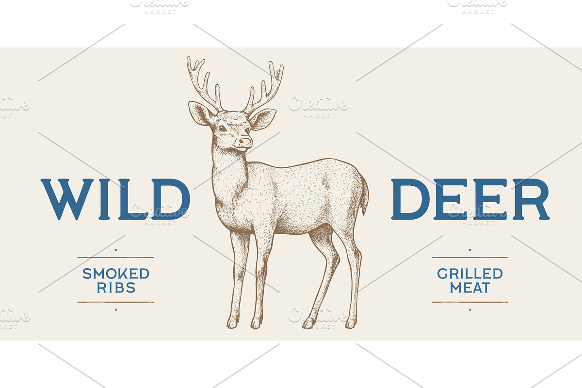 Deer. Hand drawn deer, stag, buck, an Animal Illustration by Foxys Graphic