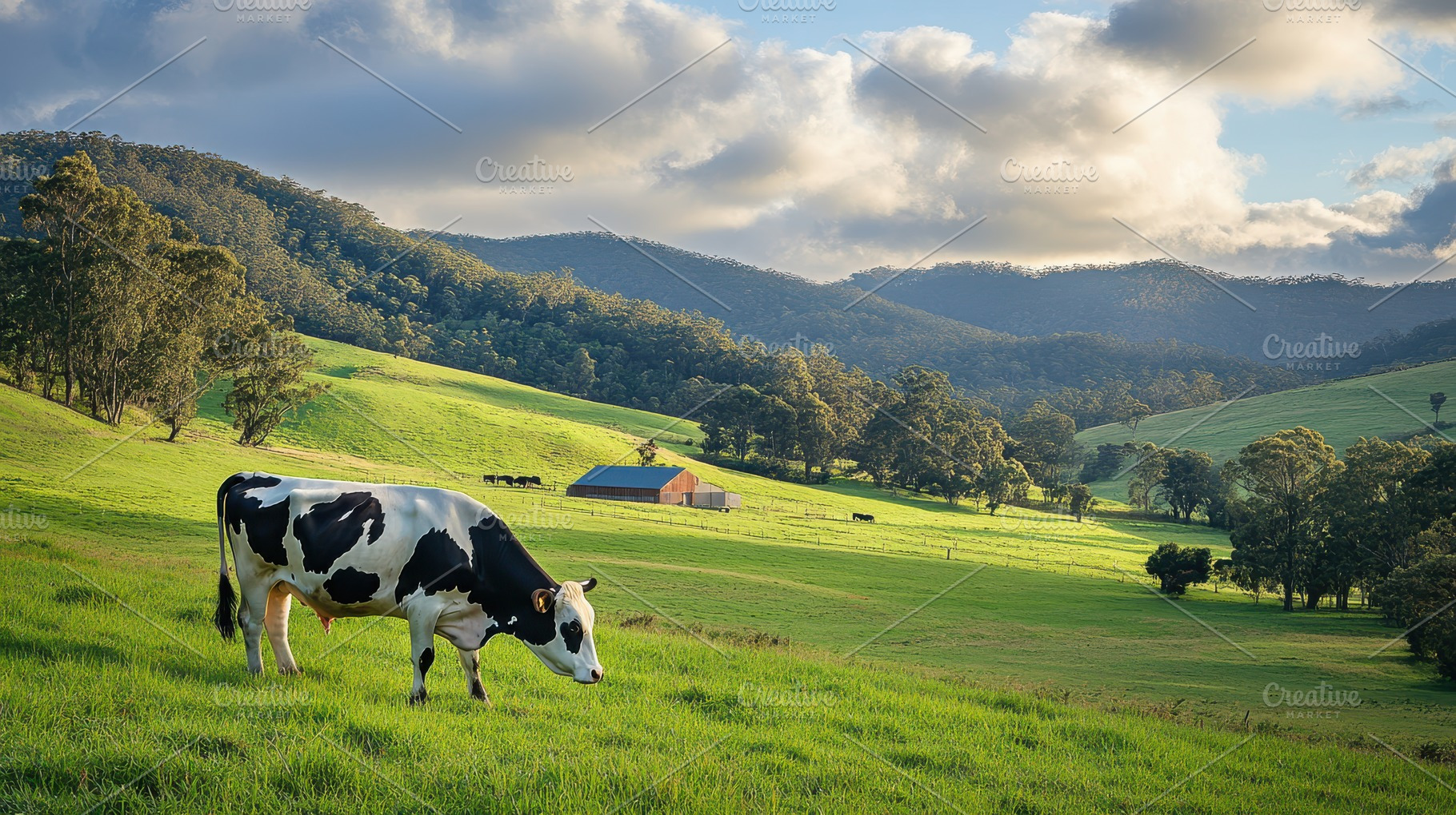 Dairy cow grazes in a serene pasture, an Animal Photo by Pixeness Studio