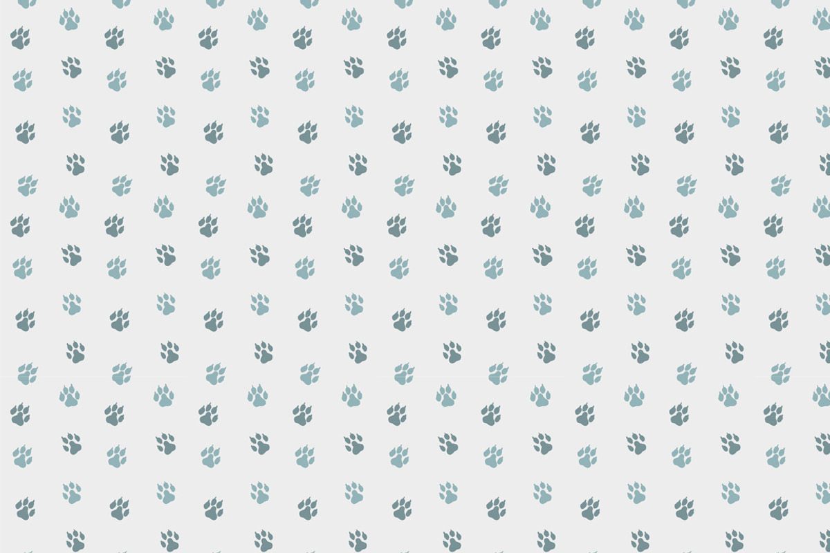 Husky dog, an Illustration by adi katz (Photo 3 of 4)