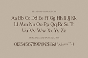 The Blinders - Elegant Serif Font, a Serif Font by RockboyStd (Thumbnail 11 of 12)