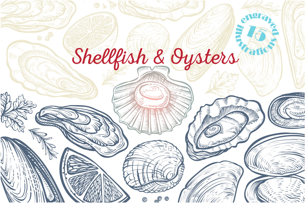 Vector sketch of Shellfish & Oysters, an Object Graphic by Aquatinta (Photo 1 of 11)