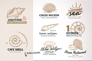 Seashells Design. Natural Logos