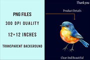 Watercolor Whimsical Bird Clipart, an Illustration by SinaCreation (Thumbnail 6 of 7)