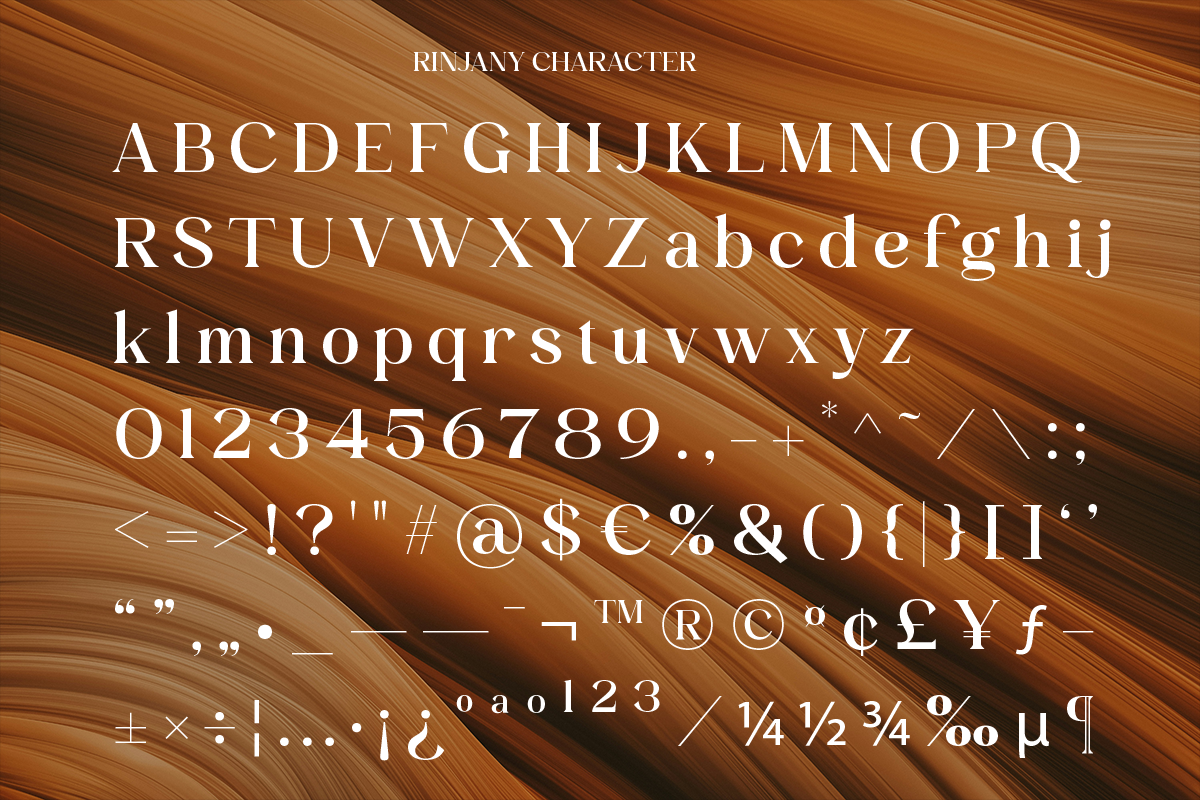 Rintik - Modern Elegant Serif, a Serif Font by Shakira Studio (Photo 9 of 10)