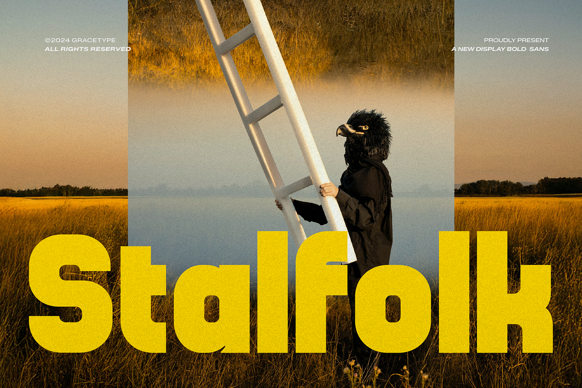 Stalfolk | Display Bold Sans, a Sans Serif Font by gracetype_studio (Photo 1 of 12)