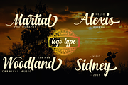 Hurringtown, a Script Font by Analogous (Thumbnail 11 of 13)