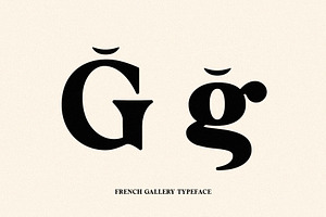 FRENCH GALLERY - Vintage Soft Serif