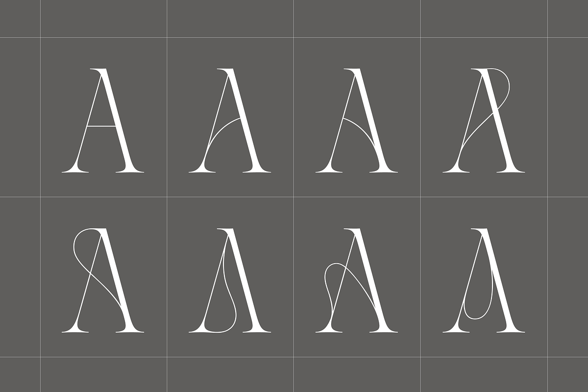Aida | 10 Font Ligature Serif, a Font by Silktype (Photo 6 of 20)