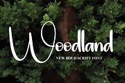 Woodland | Script Font, a Script Font by Scratchones (Thumbnail 1 of 8)