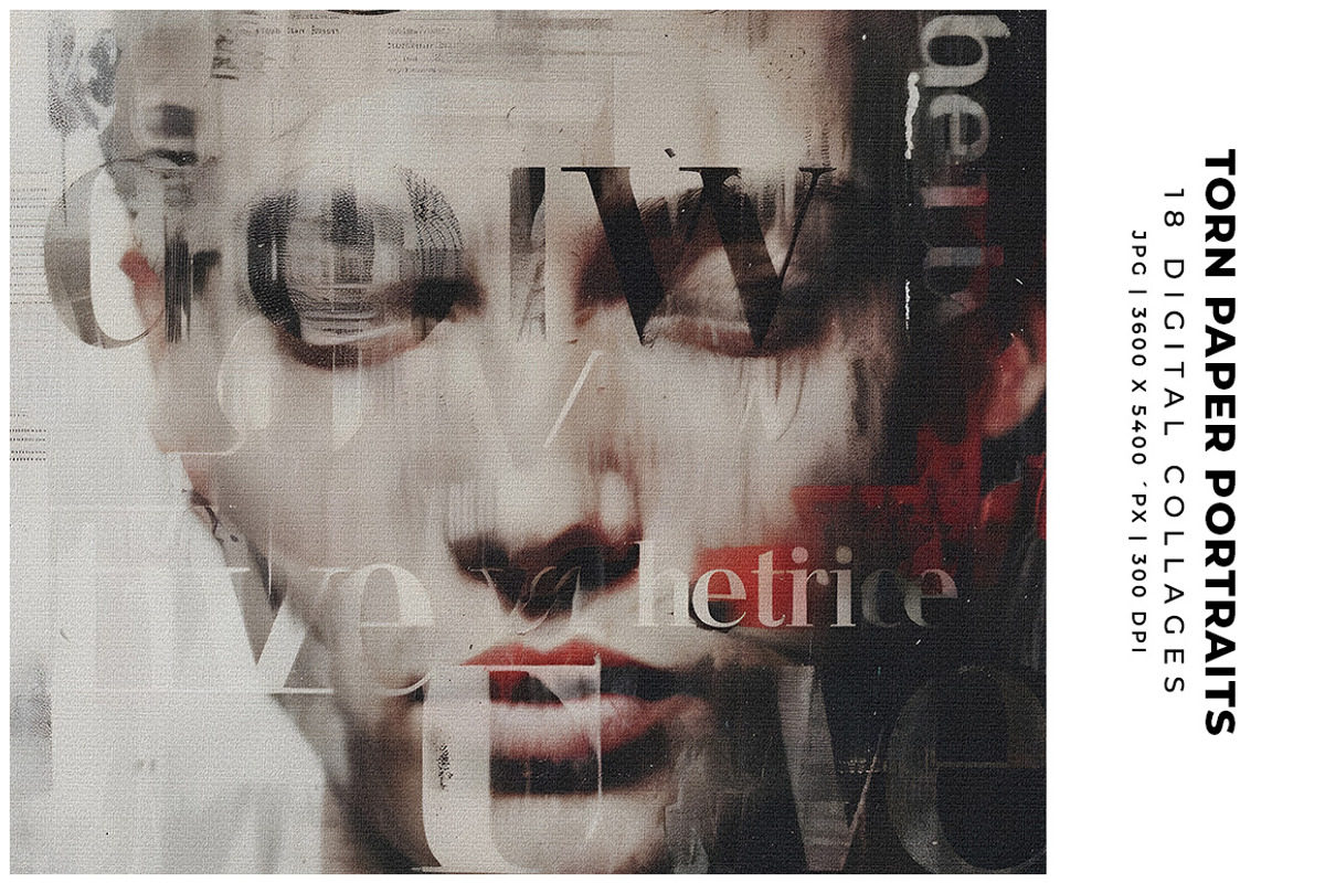 Torn Paper Portraits Collages, a Person Illustration by Digital Art Creations (Photo 1 of 10)