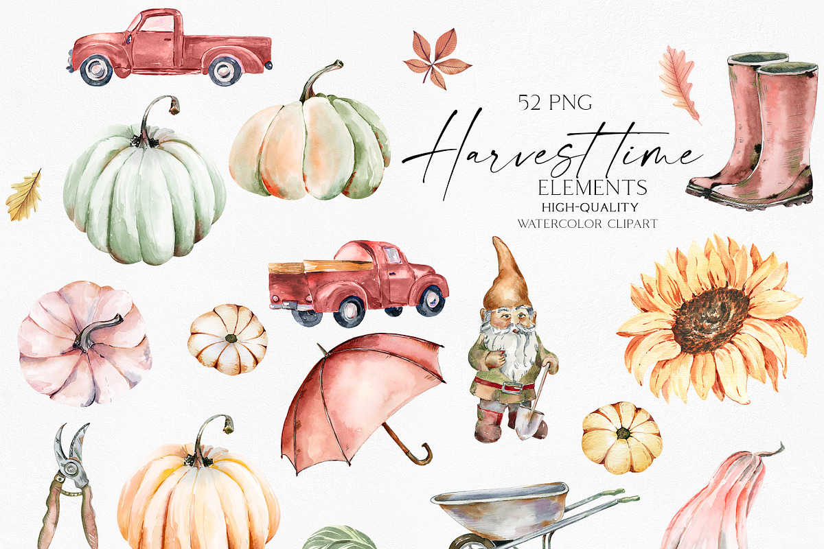 Harvest Time Watercolor Set, a Food Illustration by Olga Koelsch (Photo 13 of 14)