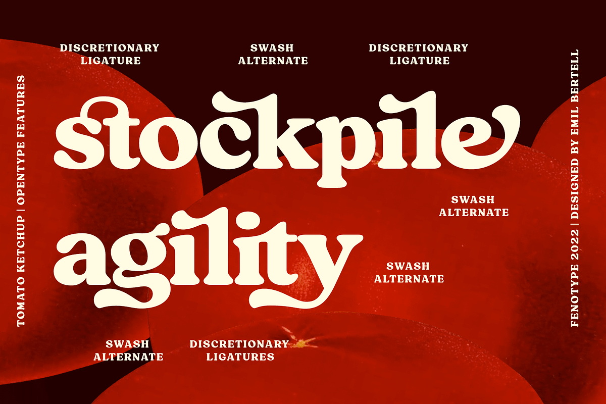 Tomato Ketchup Retro Serif Font, a Serif Font by Fenotype (Photo 8 of 14)