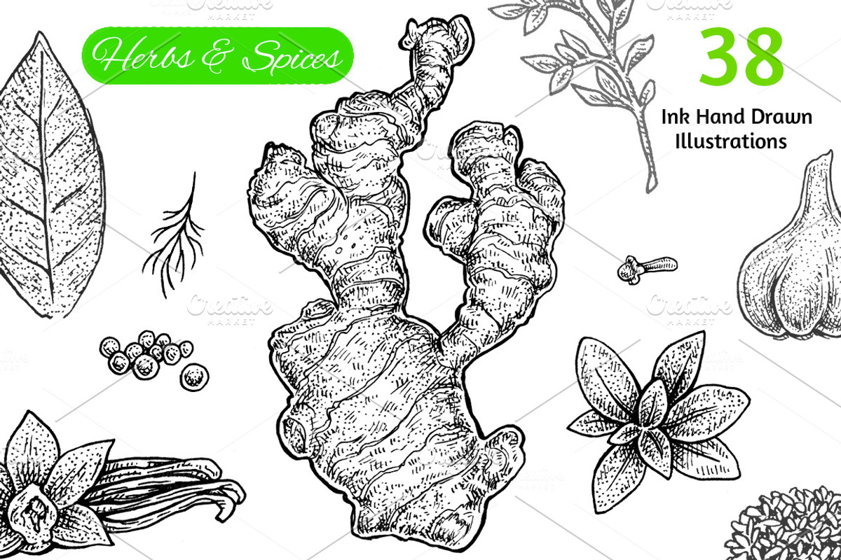 Herbs & Spices Collection, an Object Graphic by Eugenia Hauss Design (Photo 1 of 2)