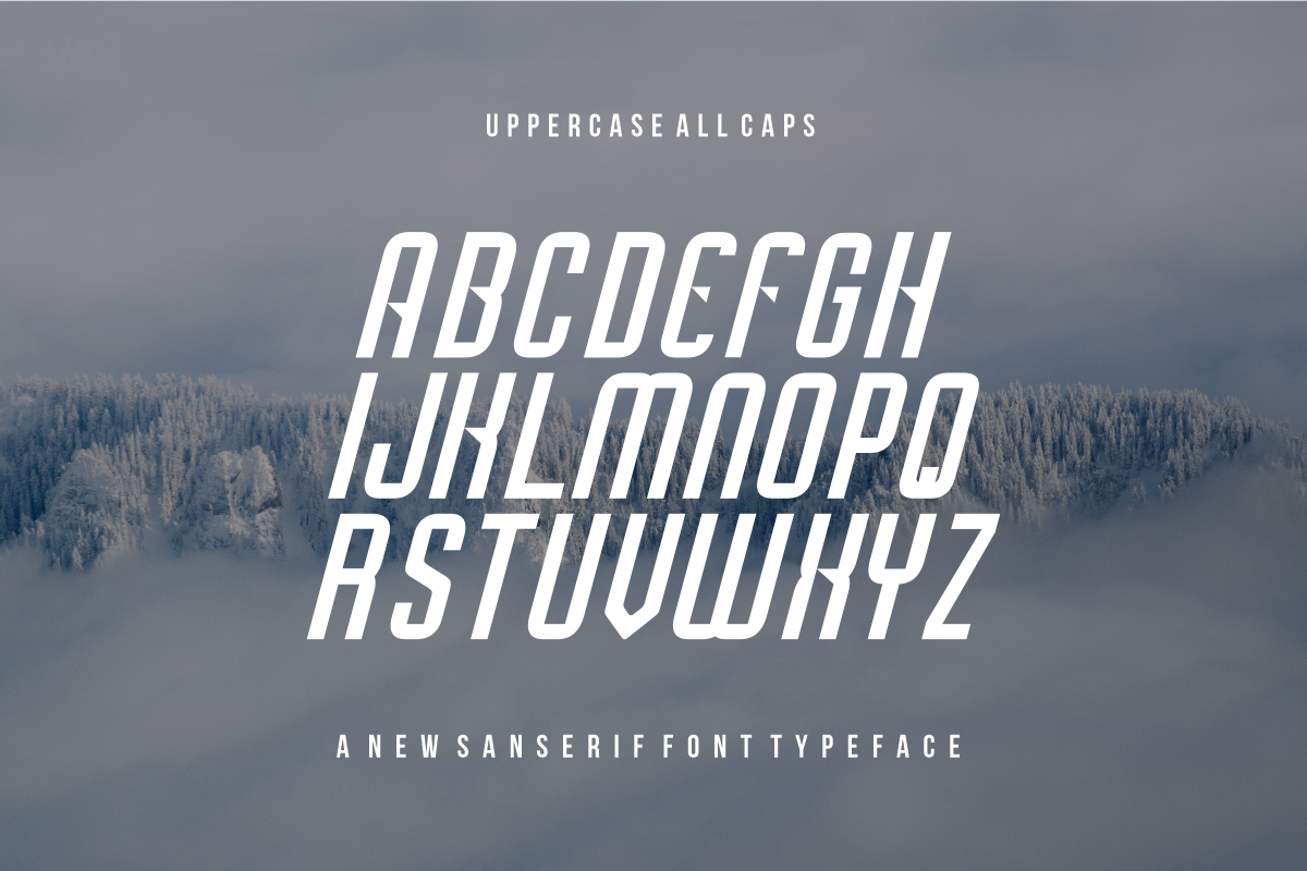MarwintoItalic, a Font by puji_hartono (Photo 3 of 5)