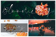 Gamla Stan, a Script Font by Creamy Script (Thumbnail 4 of 5)