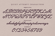 Quiet Attempt Love Handwritten Font, a Script Font by Struvictory.art (Thumbnail 5 of 9)
