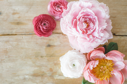 Pink flowers on wood, high res