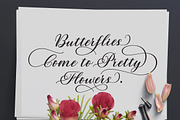 Auriga, a Script Font by Typehill (Thumbnail 7 of 12)