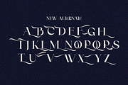 Clucks, a Serif Font by zaaintype (Thumbnail 7 of 10)