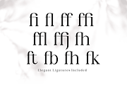 Celima, a Serif Font by Nurul_kamal (Thumbnail 6 of 16)