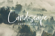 Sellaheby, a Script Font by Integritype Studio (Thumbnail 4 of 15)