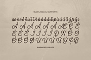 Alontima | Monoline Script, a Script Font by gracetype_studio (Thumbnail 11 of 12)