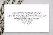 Magnolias Font, a Script Font by The Besotted Co (Thumbnail 3 of 4)
