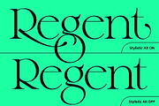 The Regals Serif Font, a Serif Font by Sam Parrett (Thumbnail 9 of 14)