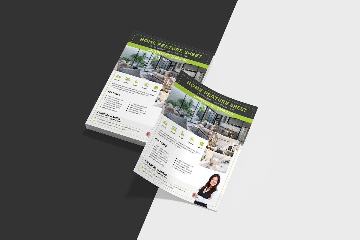 Home Sheet Flyer Template, a Flyer Template by crazyOWL (Photo 4 of 5)