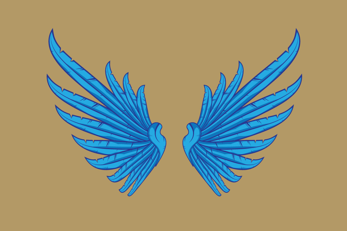 160 Pairs of Vector Wings, an Object Graphic by Damien (Photo 8 of 17)