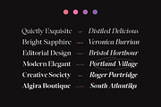 Megafield Serif Family | 12 Fonts, a Serif Font by Mulkan Nazir (Thumbnail 16 of 16)