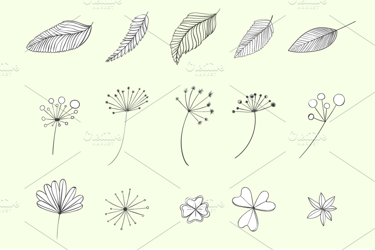 40 plants and leaves elements, an Illustration by Anna's Creative Store (Photo 3 of 5)