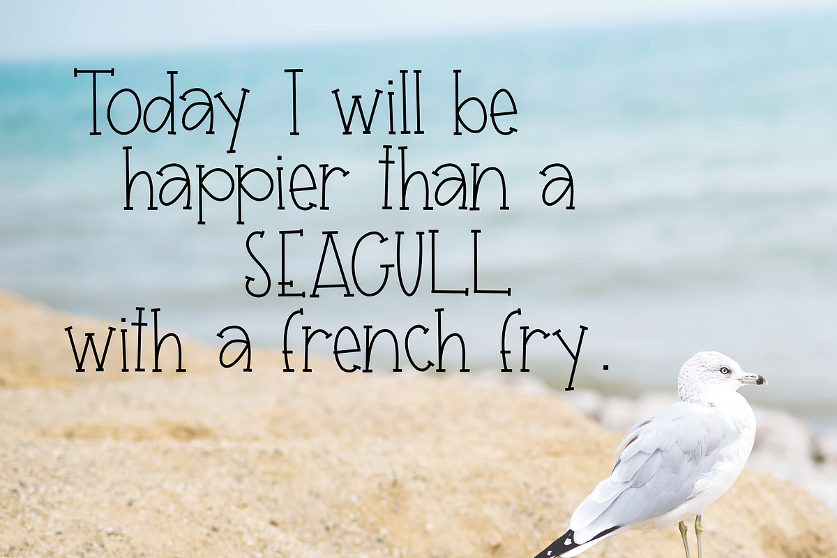 Seagull - A Handwritten Font preview 3