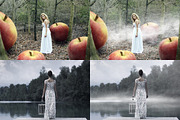 Realistic Fog Overlays, an Object Graphic by DreamyOverlay (Thumbnail 3 of 7)