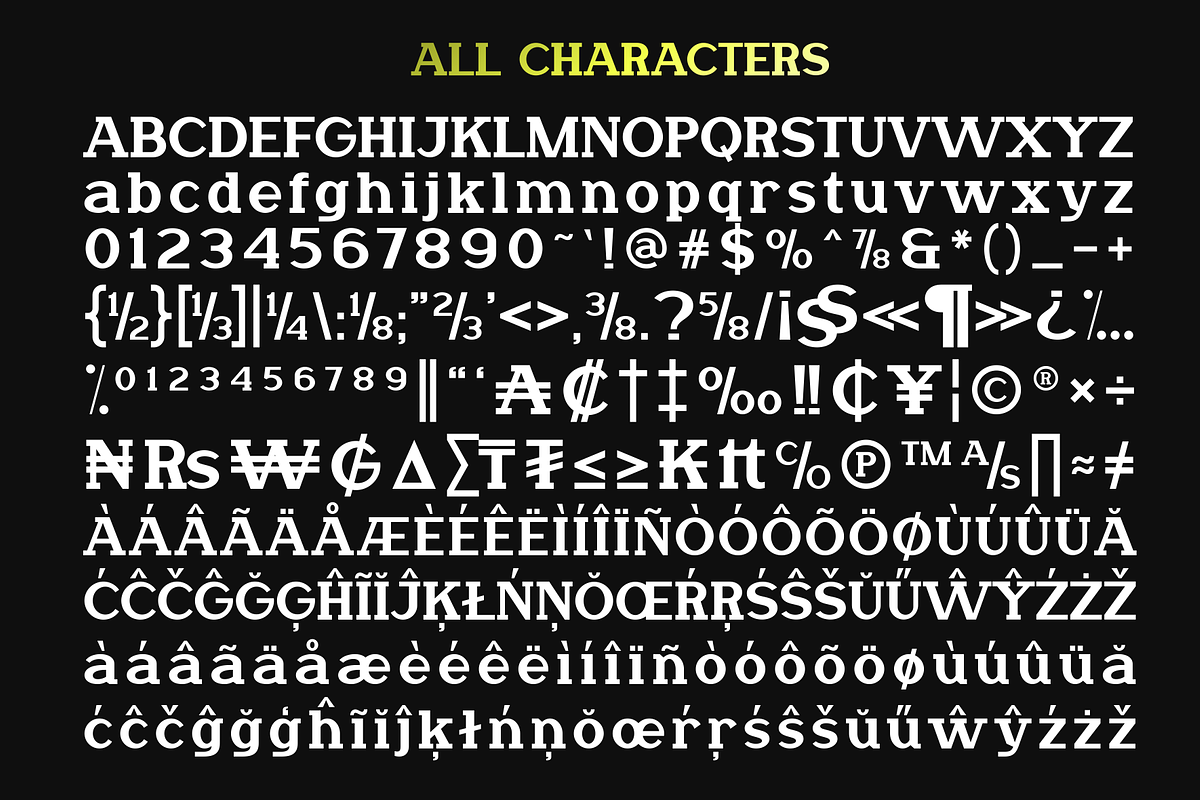 Gaima - Modern Slab Serif, a Slab Serif Font by MaikoHatta (Photo 4 of 9)