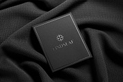 Logo Mockup Card on Fabric Textile, a Product Mockup by Asylab (Thumbnail 3 of 5)