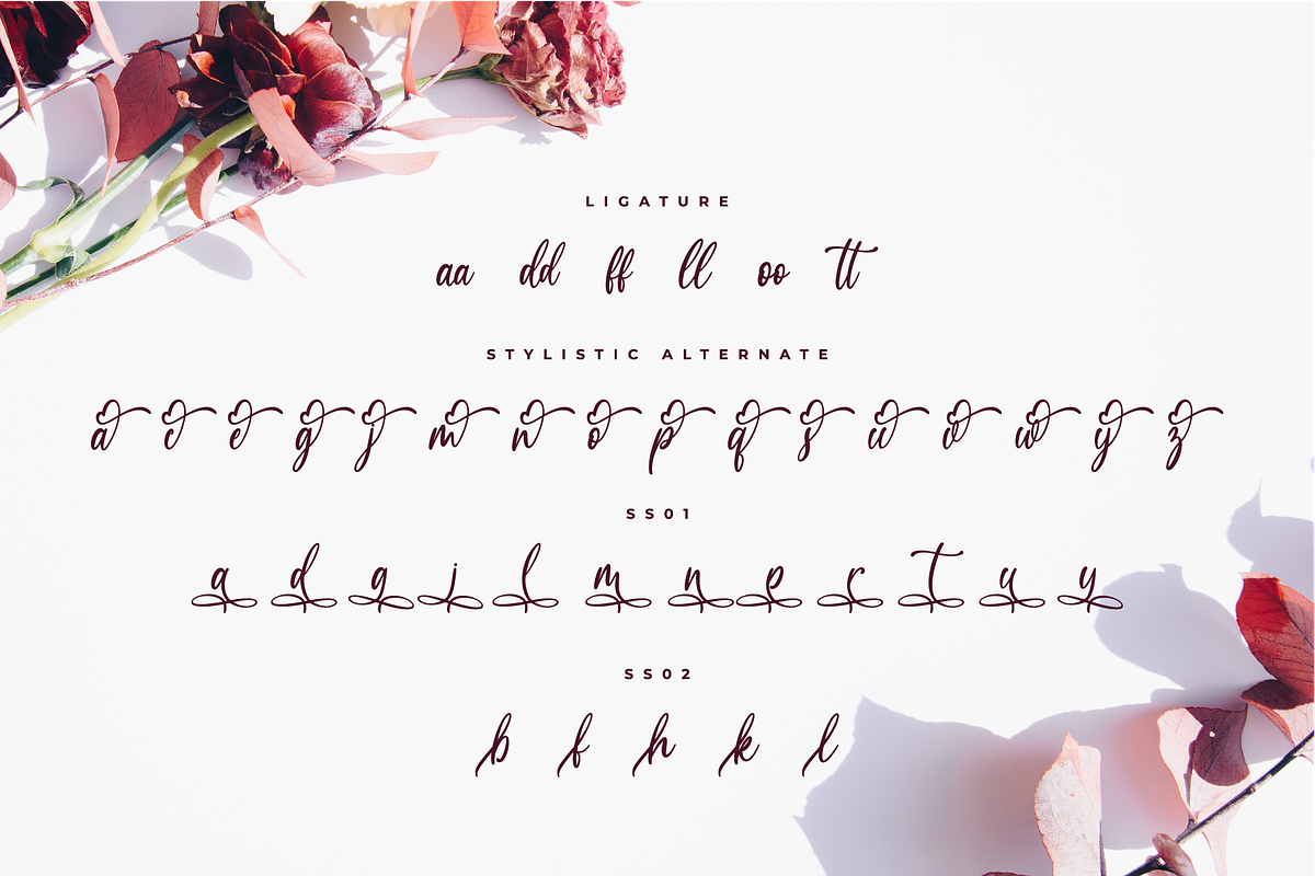 Medalion Calligraphy Font preview 8