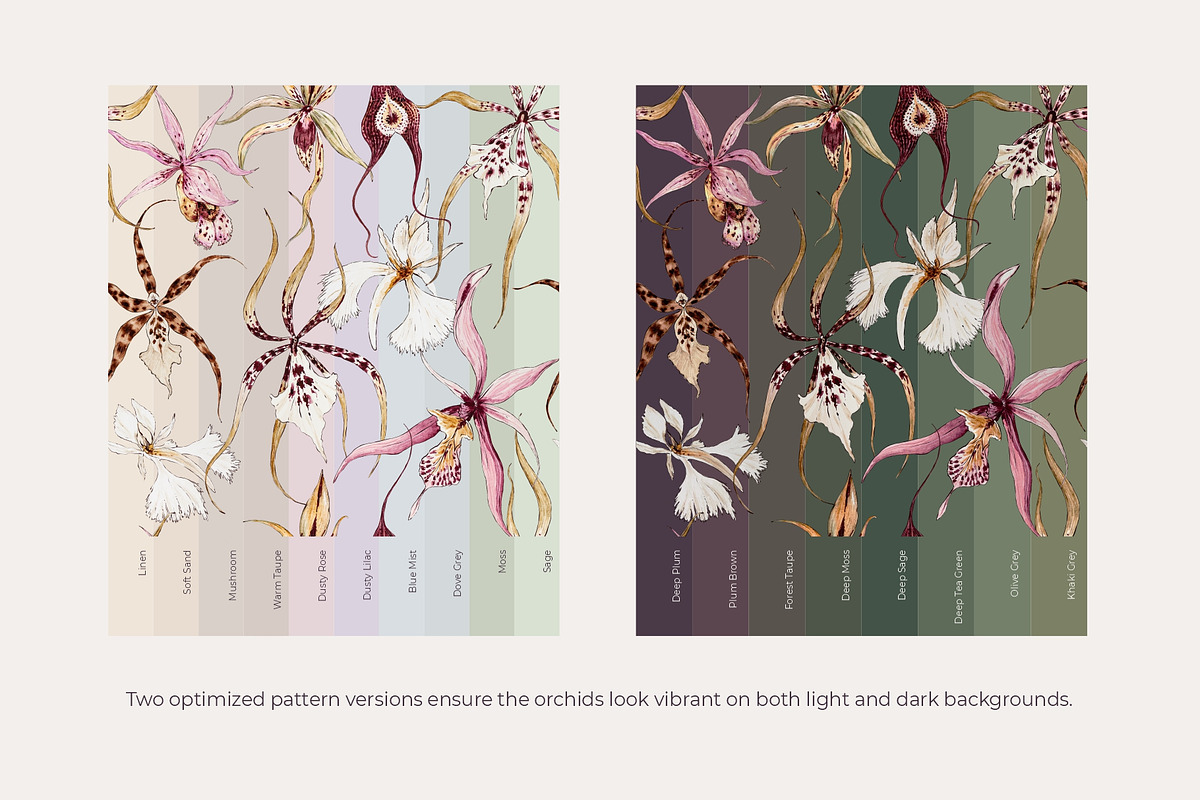 Orchid Herbarium Pattern Collection, a Pattern Graphic by SurfaceStories (Photo 2 of 12)