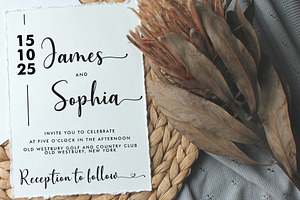 Juliet Love - Wedding Branding Font