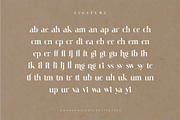 Vattea Villany Modern Serif Typeface, a Serif Font by Dylla_studio (Thumbnail 10 of 10)