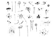 Brushes Bundle for Photoshop., a Brush Add-On by TaPilipa (Thumbnail 4 of 33)