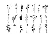 Botanical bundle - svg, png, a Decorative Illustration by Watercolor_Vector Graphic (Thumbnail 5 of 26)