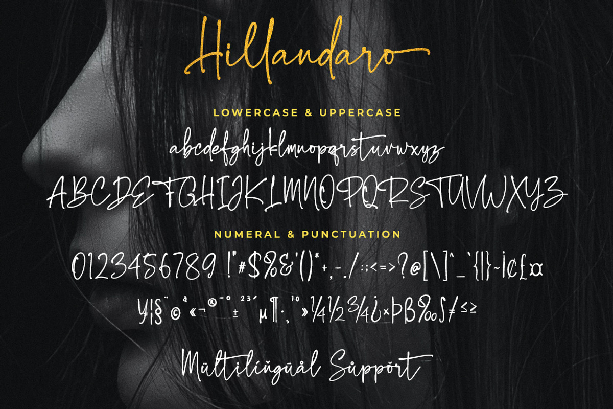 Hillandaro - a signature script, a Handwritten Font by Beautypes (Photo 6 of 8)