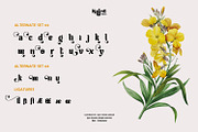 Milli | Luxury Serif Display Font, a Sans Serif Font by Hydric Design (Thumbnail 6 of 9)