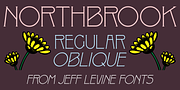 Northbrook JNL, a Serif Font by Jeff Levine Fonts (Thumbnail 1 of 5)
