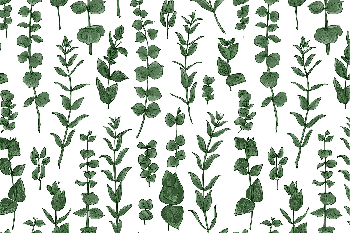 Protea flowers and eucalyptus sketch, an Illustration by irina.vaneeva (Photo 11 of 12)