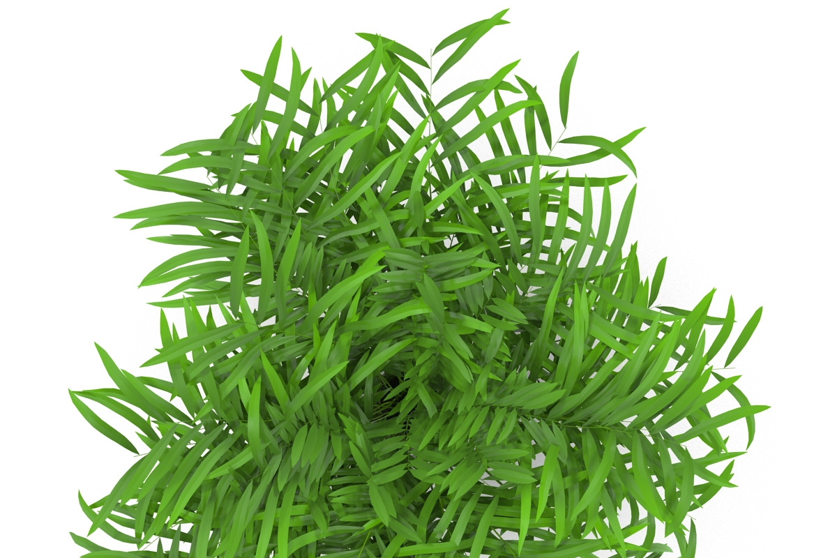 Flowerpot, an Environmental 3D Model by AndrewWhite (Photo 2 of 5)