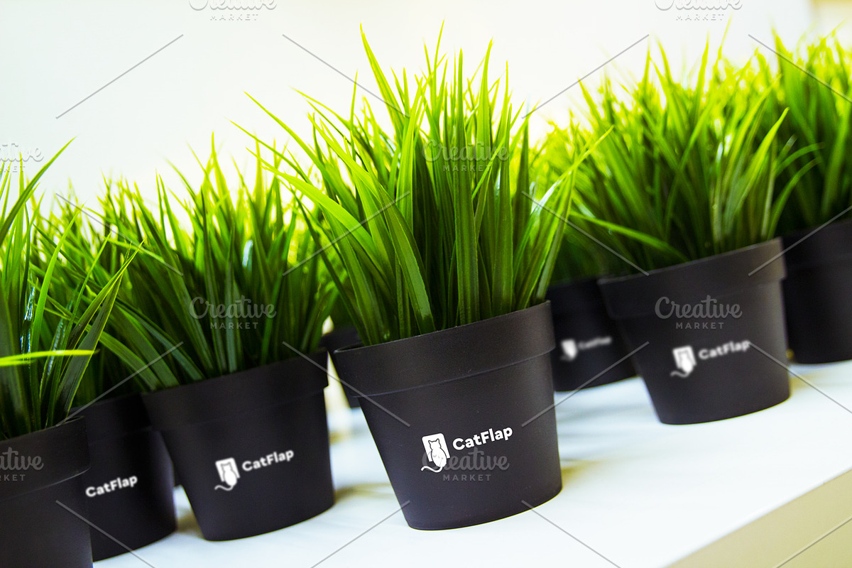 Flowerpot Mockup #4, a Mockup by Catflap