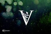 Gold V Letter Logo, a Branding & Logo Template by Bintank Studio (Thumbnail 3 of 3)