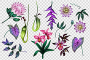 Exotic tropical flowers., an Illustration by ARTVracovska (Thumbnail 3 of 6)